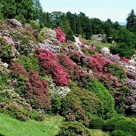 فندق Michelangelo بييلا