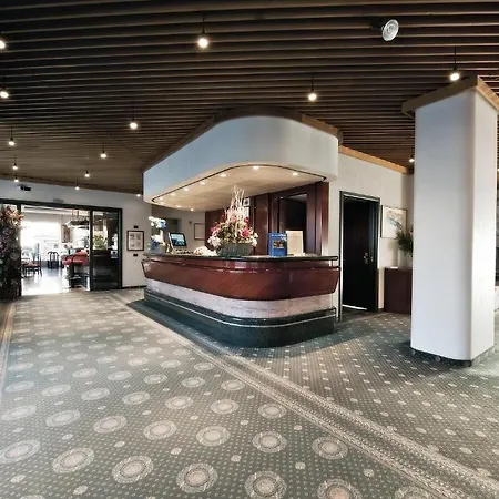 米开朗基罗酒店 4* 比耶拉