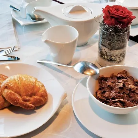 Hotel Michelangelo Biella