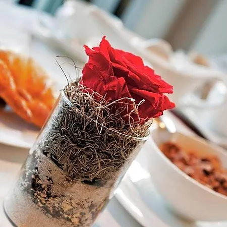 Hotel Michelangelo Biella
